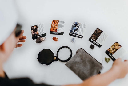 Wolfpack Dude Rocks - Collector Set